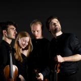Fibonacci Quartet © Julia Bohle
