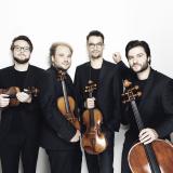 Goldmund Quartett © Nikolaj Lund 